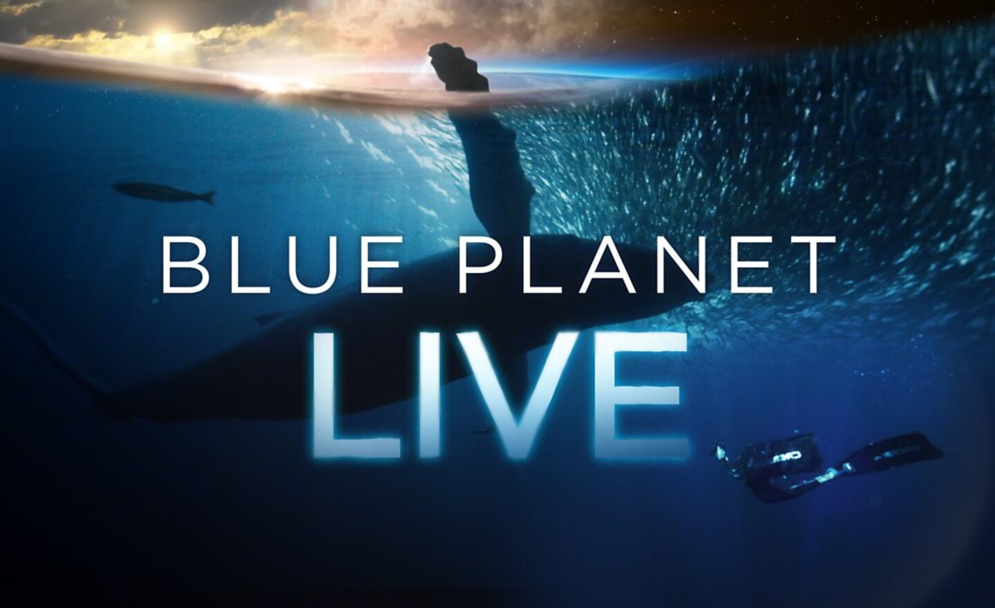 Image of Blue Planet Live 